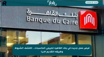 فرص عمل جديدة في بنك القاهرة لخريجي الحاسبات.. اكتشف الشروط وطريقة التقديم الآن!